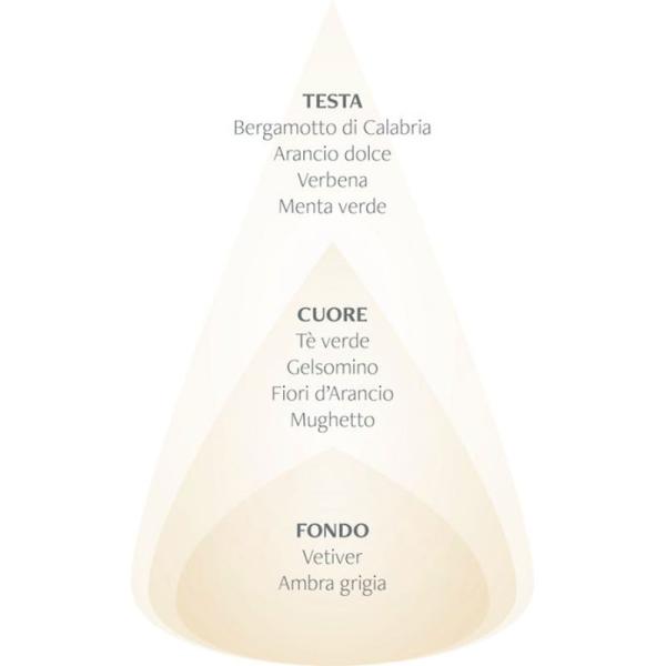 nasoterapia iriserboristeria piramide olfattiva brezza te verde fiori d arancio 800x800