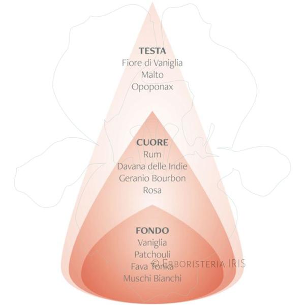 rum ambrato vaniglia piramide olfattiva nasoterapia iriserboristeria 800x800