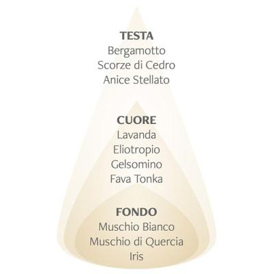 nasoterapia iriserboristeria Piramide olfattiva carezza Lavanda di Provenza e Iris 800x800