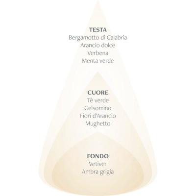 nasoterapia iriserboristeria piramide olfattiva brezza te verde fiori d arancio 800x800