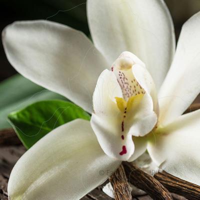 rum ambrato vaniglia nasoterapia iriserboristeria 800x800