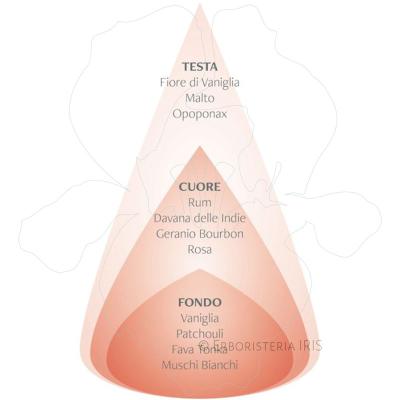 rum ambrato vaniglia piramide olfattiva nasoterapia iriserboristeria 800x800