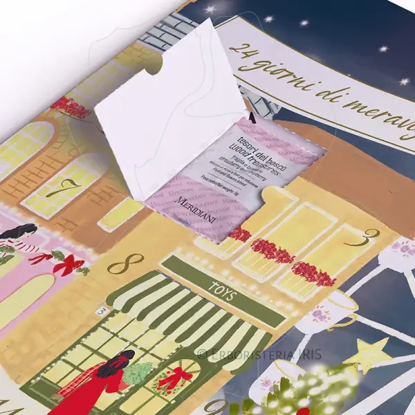 calendario avvento regalo natale selezione 24 miscele te erbe tisane infusi frutta 3 meridiani infusione iriserboristeria
