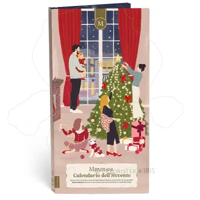calendario avvento regalo natale selezione 24 miscele te erbe tisane infusi frutta 1 meridiani infusione iriserboristeria